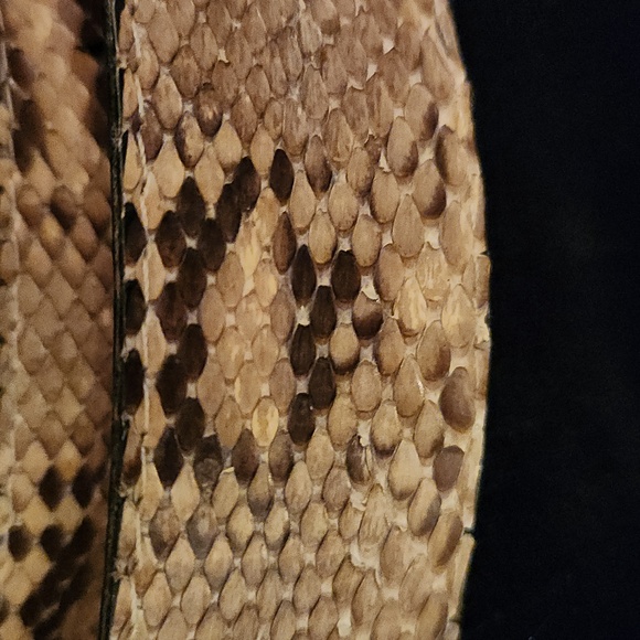 GENUINE LEATHER SNAKE SKIN BELT - Picture 3 of 4